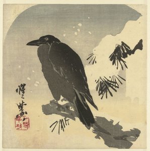雪松枝上的乌鸦 作者 川边京菜