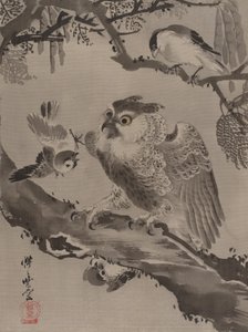 猫头鹰被小鸟嘲笑，ca。 1887年。
