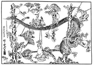 蛇与青蛙，1898年。