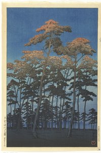 大宫日川公园