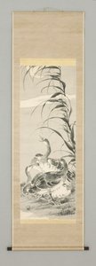 十九世纪中叶，月亮中的鹅（悬挂画卷：纸上的油墨和彩色） 作者 渡边喀山（Kazan Watanabe）