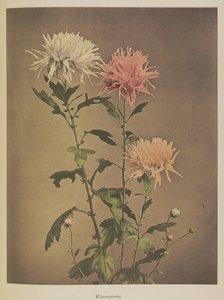 金水路 作者 小川和正