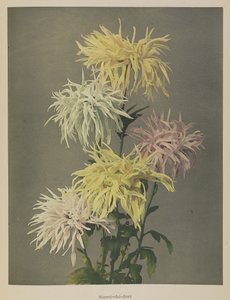 浪池通 作者 小川和正