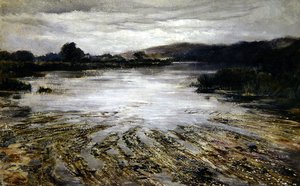 河边的野草（布面油画） 作者 基利颈波