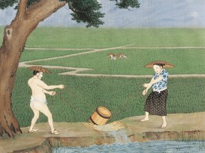 荷兰，莱顿，稻田里的工作 作者 川原敬佳