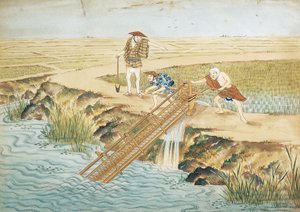 荷兰，莱顿，稻田里的工作 作者 川原敬佳