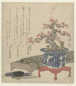 盆栽梅花古筝 作者 山通延凉香