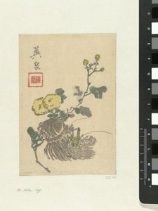 蚱蜢和花朵 作者 京西铁