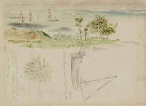 海岸风光 作者 凯洛格，迈纳·基尔伯恩