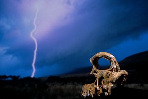 DOH; The First Steps, Broken Skull, STW 847, Lightning, High veld, Swartkrans, South Africa, 2008（照片） 作者 肯尼思·加勒特