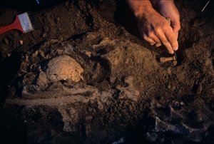 格鲁吉亚德马尼西、大卫-洛德基帕尼泽、直立人 作者 肯尼思·加勒特