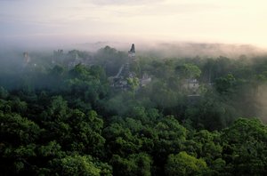 玛雅；蒂卡尔；危地马拉 作者 肯尼思·加勒特