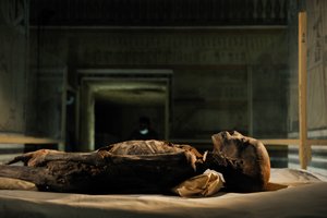 mm7864；18王朝；新王国；埃及；DNA；样本；木乃伊，未知木乃伊，2005年（照片） 作者 肯尼思·加勒特