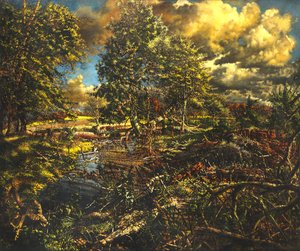 伯恩公园Nailbourne Spring Stream