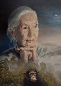 我们息息相关（珍-古道尔的智慧）（绘画）