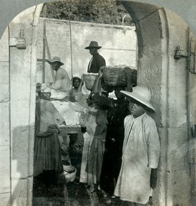 1893年，多米尼加，多米尼加，从豆荚中提取的可可粉。 作者 Keystone View公司