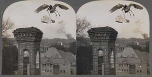 在古老的时代，如果人们是好的，鹳鸟会带来一个甜蜜和公平的婴儿，1907年。 作者 Keystone View公司