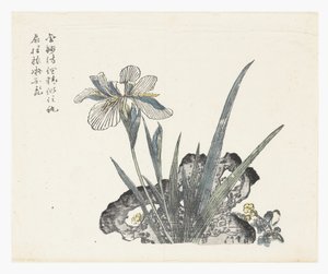 芥菜籽园 作者 基昌