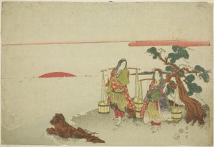 卤水少女 作者 菊川荣山