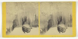 鳟鱼，185575。创造者：基尔本兄弟，BW基尔本。