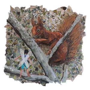 榛子狩猎 作者 柯斯蒂·亚当森