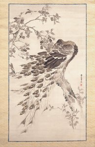 樱桃苹果树上的孔雀（绢本水墨设色）