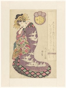鹤屋家的 Courtisane Tachibana 作者 北川式摩