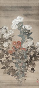 菊花