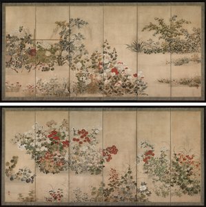 花与草