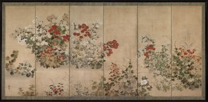 花与草