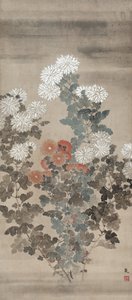菊花，16世纪中期。