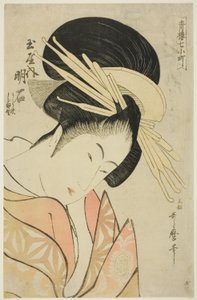 吉原七小町（Seiro nana Komachi）系列中的玉屋赤司（Tamaya uchi Akashi, Uraji, Shimano）。 作者 北川宇多郎
