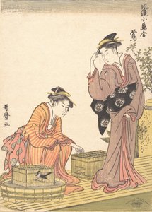 日本布什莺，1754-1806。 作者 北川宇多郎