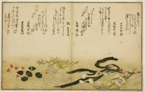 绘本 "退潮的礼物（汐之刀）"中的水菜、汐菜、葛菜、酱菜、千金菜和千草菜 作者 北川宇多郎