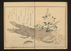 竹笋上的蝼蛄和蠼 作者 北川宇多郎