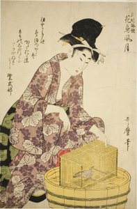 村崎涉：鸟，选自 "著名女性和她们关于花、鸟、风、月的诗歌（名家诗集）"系列 作者 北川宇多郎