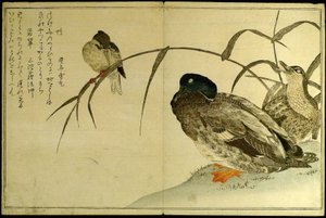 千鸟：京香比赛（Momo chidori kyoka awase） 作者 北川宇多郎