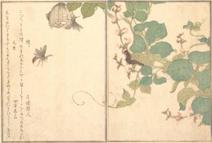 纸黄蜂Hachi，毛毛虫Kemushi...，1788年。 作者 北川宇多郎