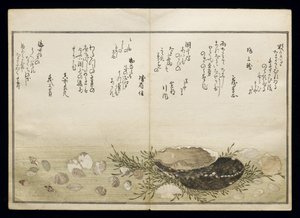 Shiohi no tsuto（来自大浪淘沙的礼物），被称为Shell Book，1789（彩色木版画） 作者 北川宇多郎