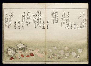 Shiohi no tsuto（来自大浪淘沙的礼物），被称为Shell Book，1789（彩色木版画） 作者 北川宇多郎