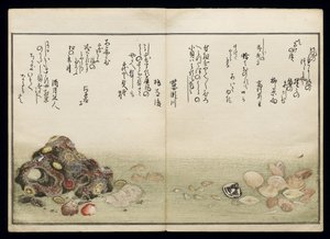 Shiohi no tsuto（来自大浪淘沙的礼物），被称为Shell Book，1789（彩色木版画） 作者 北川宇多郎