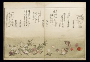 Shiohi no tsuto（来自大浪淘沙的礼物），被称为Shell Book，1789（彩色木版画） 作者 北川宇多郎