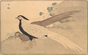 白贤，1789年。 作者 北尾正好