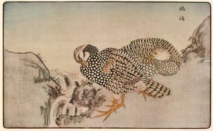 野鸡，1789年，1924年。 作者 北尾正好
