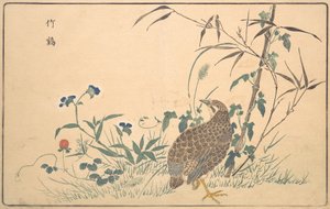 朱基，1789年。 作者 北尾正好