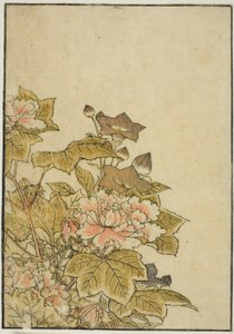 秋花：牡丹和风铃花，选自《悦己镜》第 2 卷。