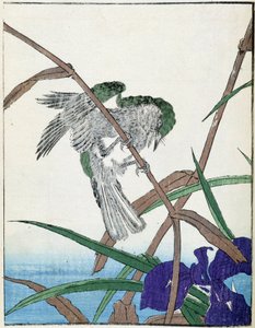 树上的鸟北尾幸斋的日本画 作者 北尾重正