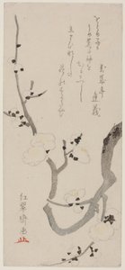 梅枝 作者 北尾重正