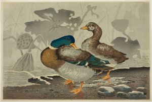 一对鸭子在荷花池边 作者 小林清史
