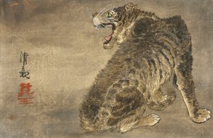 老虎和闪电 作者 小林清史